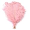 10Pcs Stage Props Ostrich Feathers 15-20cm Colored Ostrich Feathers  Home Decoration