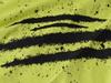 Plein Sport - Men' T-Shirt - Ps25Mts02/09 Lime