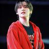 Stray Kids 2024 Tour "domiNATE" K-Pop Fleece-Hoodie