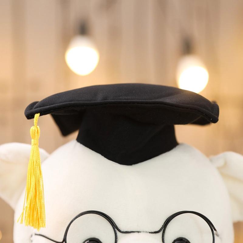 7/9’’ Academic Dress Bear Vivid Cuddleable Pillow Plush for Doll Emotion Appease Non-Deform Office Ornament Gear Store T