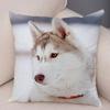 pc Realistic Siberian Husky Print Pillowcase Set  Polyester NonEmbroidery Cushion Covers for Sofa Bed Dog Lover Home Decor