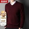 Hengyuanxiang Herren 100% Reine Wolle V-Ausschnitt Pullover