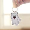 Keychain Pet Style Collect Pet Hair Transparent Pendant Keyring Bag Pendant Key Holder Handbag Backpack Accessories