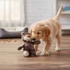 Bear Dog Toys Interactive Bear Dog Squeak Chew Toy Unbreakable Squeaky Toys for Aggressive Chewers