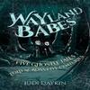 Wayland Babes by Judi Daykin Paperback Book 9781913793500