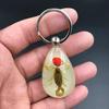 1PC Resin Insect Luminous Key Chain Noctilucent Scorpion Insect Specimen Pendant Tourist Souvenirs Color Random