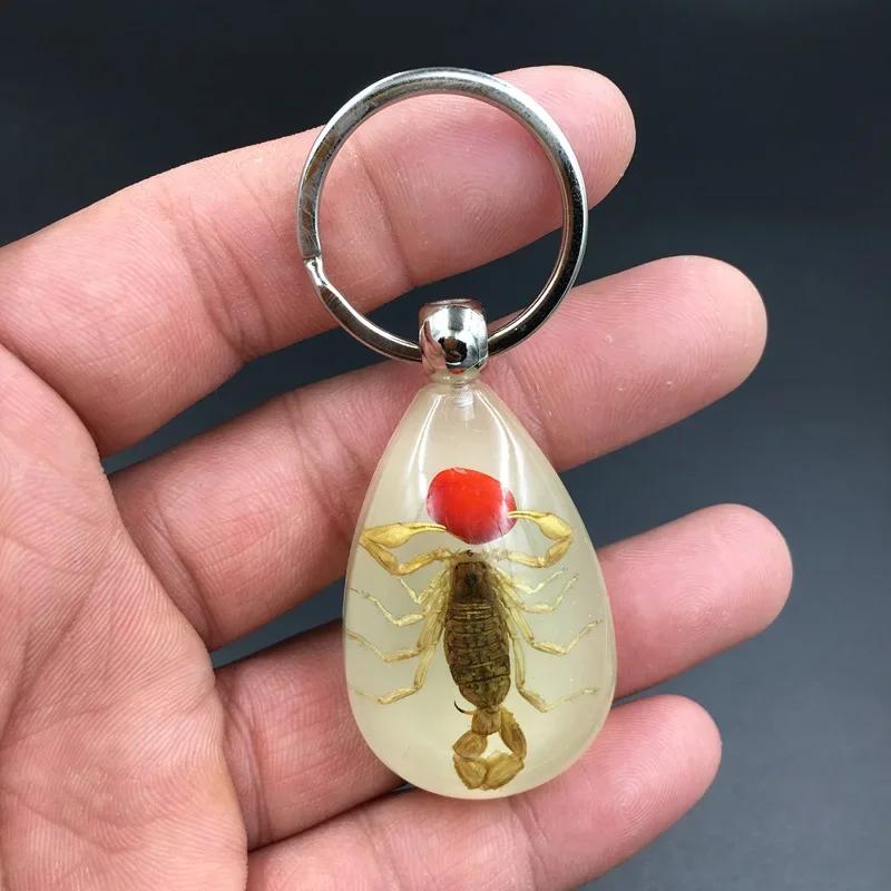 1PC Resin Insect Luminous Key Chain Noctilucent Scorpion Insect Specimen Pendant Tourist Souvenirs Color Random