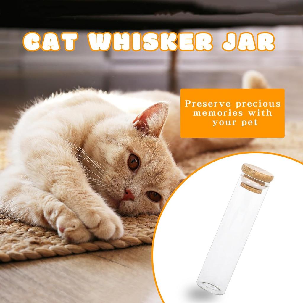 Klmnop 2 Pack Cat Whisker Jar, Transparent Glass Cat Whisker Vase with Sealed Bamboo Lid, Cat Whisker Collector Cat Whisker Holder Loss of Cat
