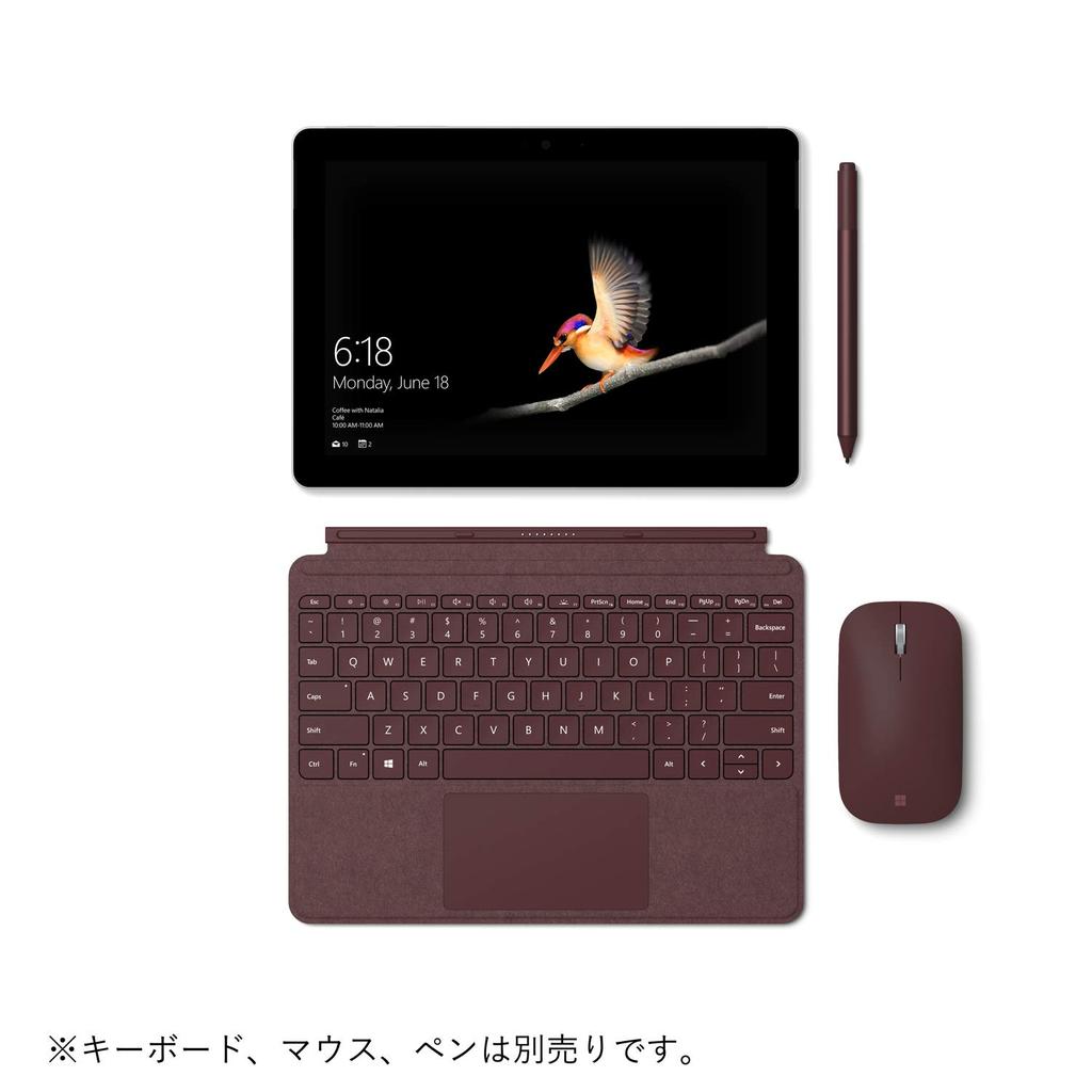 Microsoft Surface Go with LTE Office Home and Business Windows 10 Home 128GB 8GB Silver Advanced, 2019, (S Mode), 10-inch Display, Pentium® Gold, SSD,