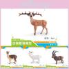 Lifelike Forest Animal Models Crafted From Durable Plastic Goat Alpaca Deer Ostrich And Foal Statues