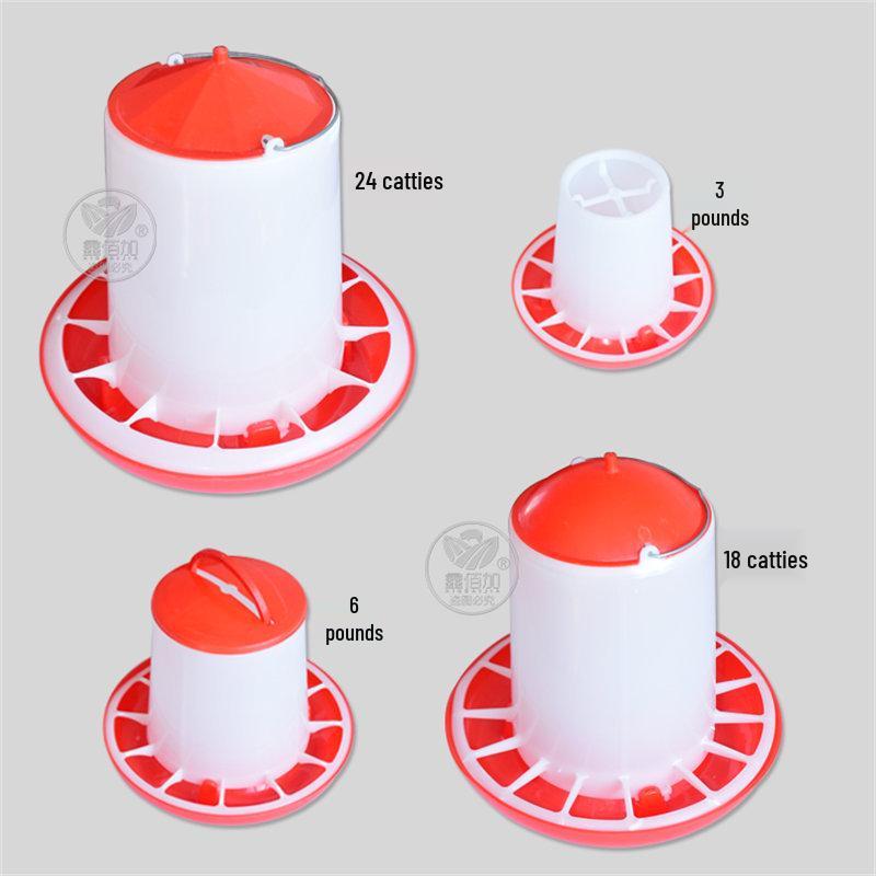 Automatic Chicken Feed and Water Trough for Poultry