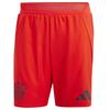 Mens FC Bayern Munich Football Shorts