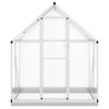 Greenhouse with Foundation Frame Silver 169 x 114 x 202 cm Aluminum