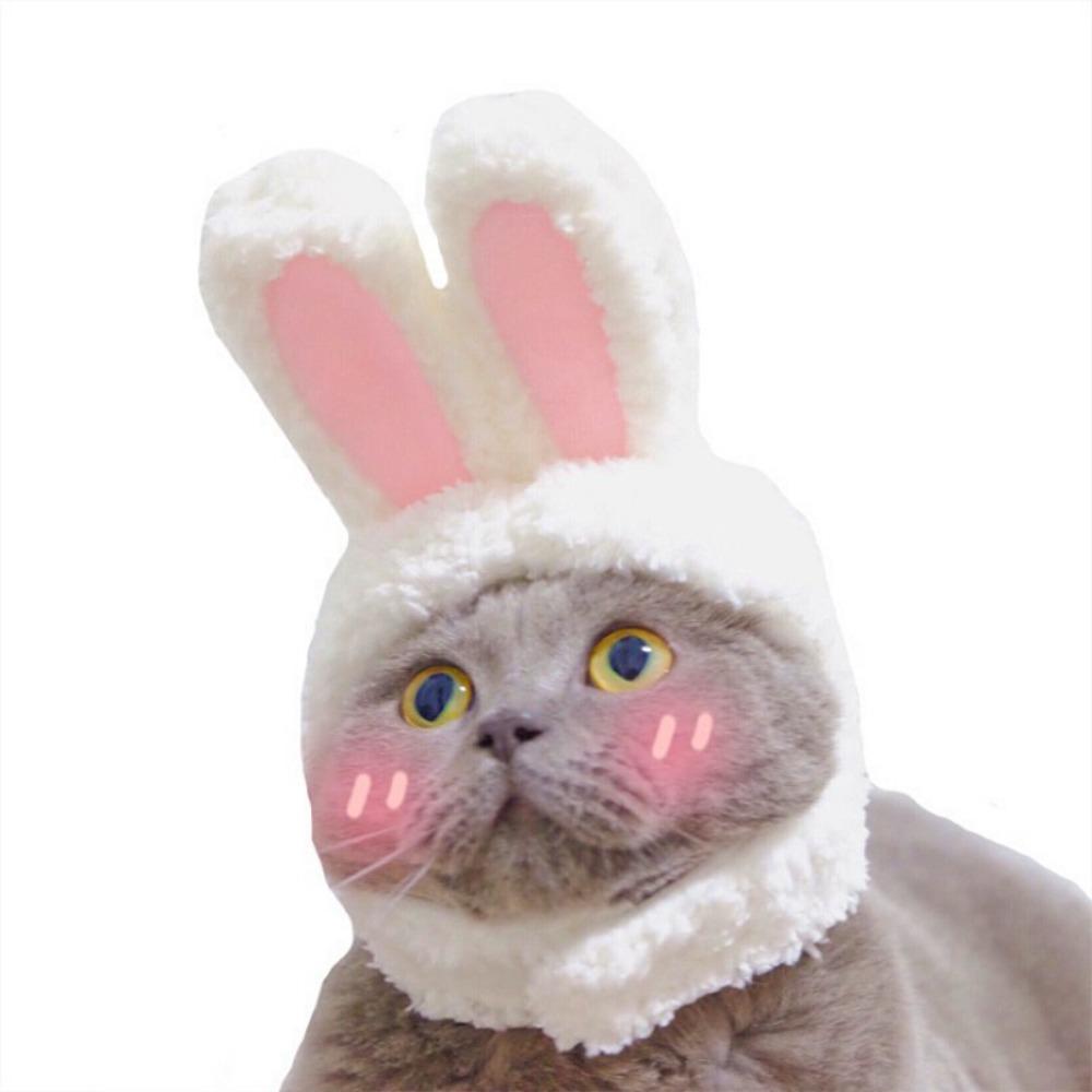 Cat lion headgear cute rabbit hat cat headgear performance props funny funny rabbit ears pet hat
