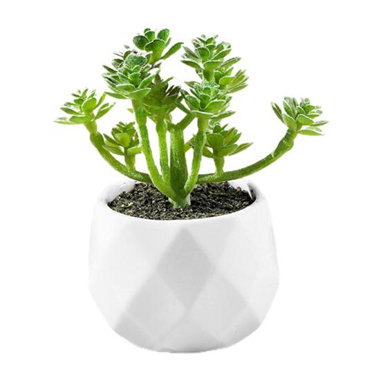 Dobrý květináč Ekologický přenosný a poutavý