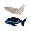 Stylish Acetate Hair Claw Clip Ocean Theme Hair Barrette Feature Marine Life Theme White Blue Ponytail Holder