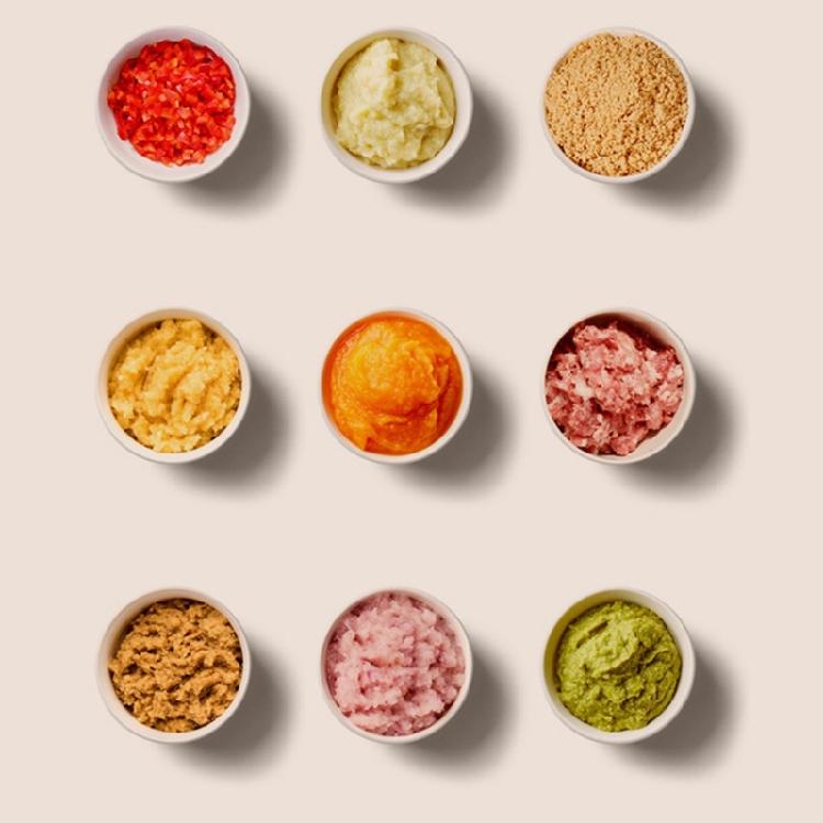 Electric Garlic Chopper Cordless Mini Food Processor Multipurpose Kitchen Tool Ideal for Chopping Onions and Meat