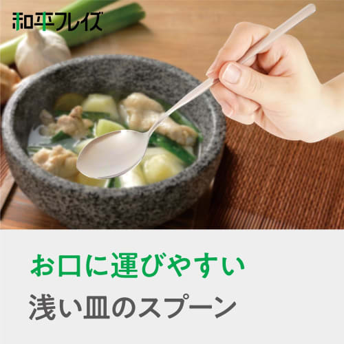 Wahei Freiz Bibimbap Spoon Set of 2 (Round Plate and Slotted Spoon) - Taste Explorations Korea Edition RE-7463