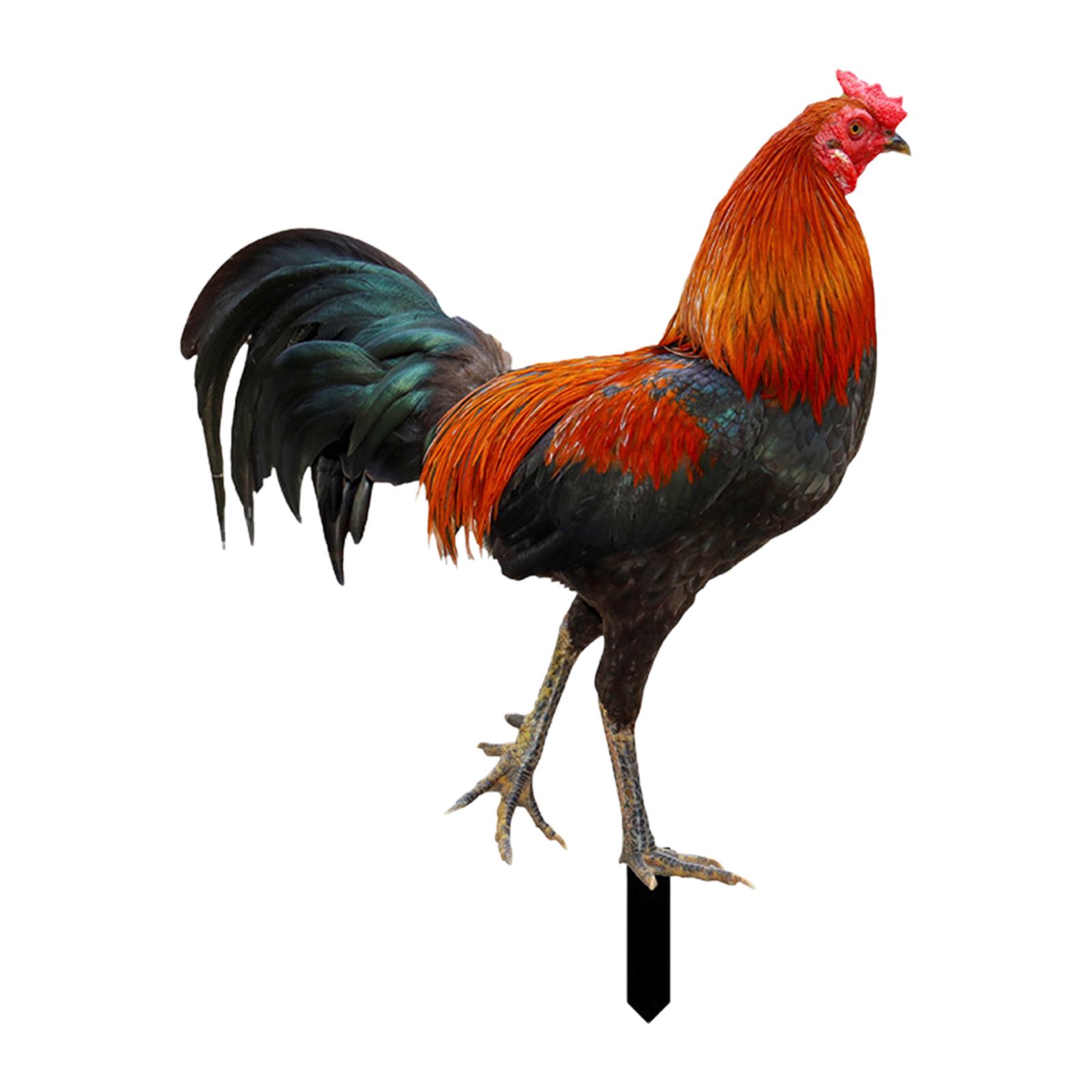 

Rooster Garden Stake Garden Decoration Gifts Yard Stakes Easy to Use Acrylic Figurine for Fence Porch Lawn Garden Outdoor