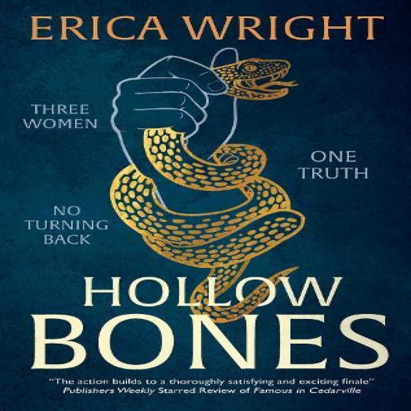 Hollow Bones by Erica Wright Hardback Book 9781448313945