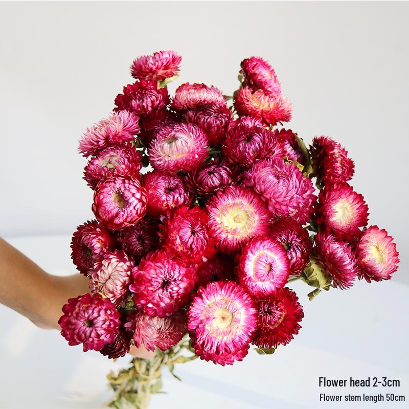 Daisy Dried Flower Bouquet for Living Room and Bedroom Décor - Natural Yunnan Flowers for Display or Photo Props