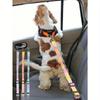 1pc Pet Car Safety Leash, With Elastic Shock Absorbing, Rainbow Style, Suitable For Pets Riding In Car