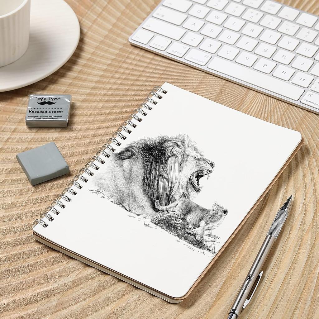 Mr. Pen- Kneaded Eraser Bulk,18 Pack, Colorful, Moldable Art Erasers for Drawing