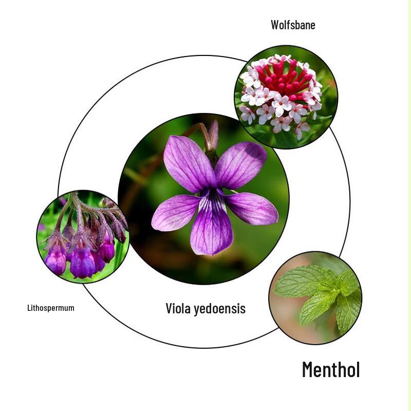 Qicao Liqing Purple Flower Herbal Balm