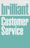 The Brilliant Customer Service Book