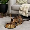 Large Capacity Pet Feeding Bowl Gold Plated Cat Food Dish Dog Water Food Bowl  for Feeding