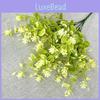 Hance Hypericum Sampsonii Plastic Green Plant Wedding Photography Decor
