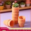 Mini Clay Succulent Cup Playhouse: Children's Handmade Simulated Potted Plant