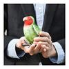 BH7254 HANSA Lovebird 13