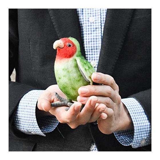 BH7254 HANSA Lovebird 13