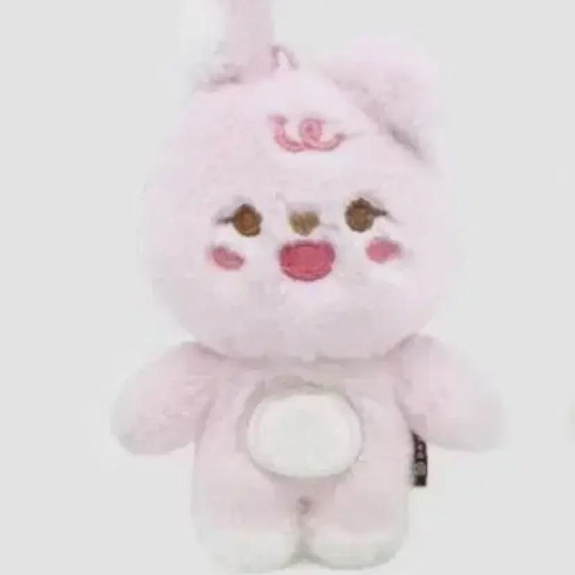 

DAY6 Petitmels Pilki Запечатанные