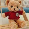 Plush Toy Teddy Bear Doll Plush Toy Doll Gift Animal Bear Doll Gift Throw Pillow