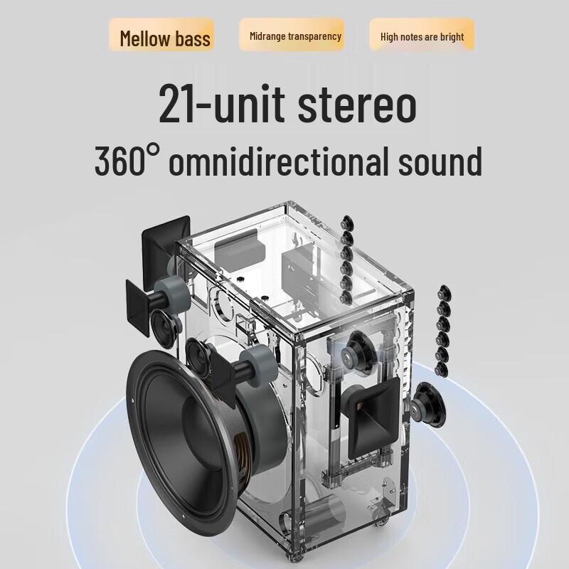 Shanshui Portable Outdoor KTV Speaker System