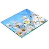Tempered Glass Kitchen Board with Decorative Daisy Graphics 60x52 Cm