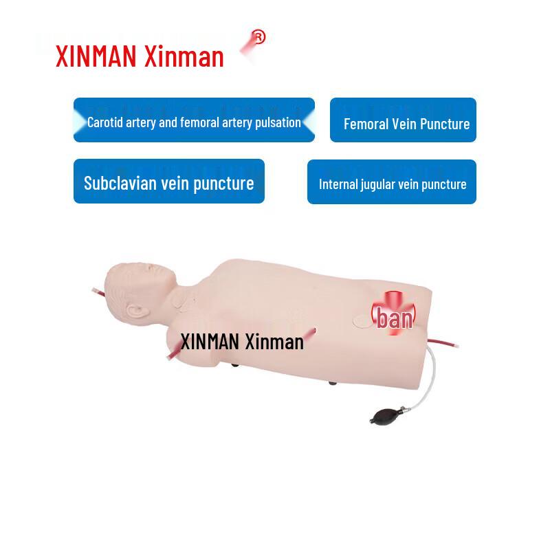 XINMAN Full-Function Arterial & Venous Puncture Simulator