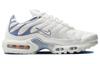 Nike Air Max Plus Ashen Slate Women's DZ3671-104
