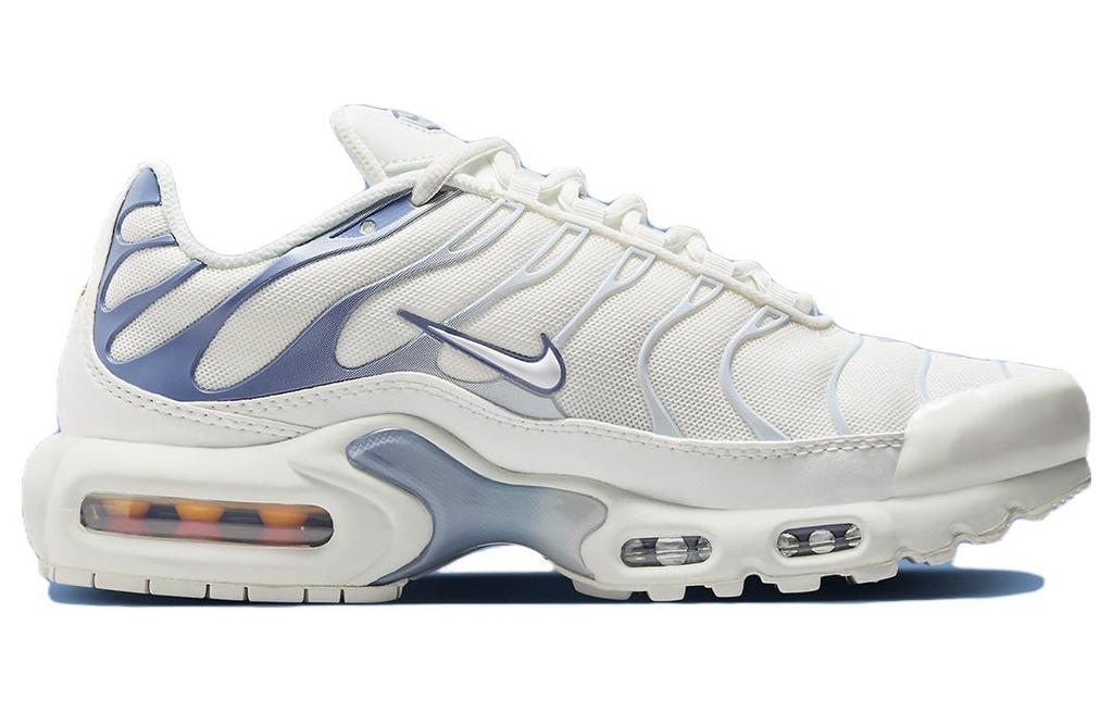Nike Air Max Plus Ashen Slate Women's DZ3671-104
