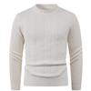 Korean Autumn and Winter Warm Bottoming Shirt Men's Sweater Solid Color Casual Round Neck Top