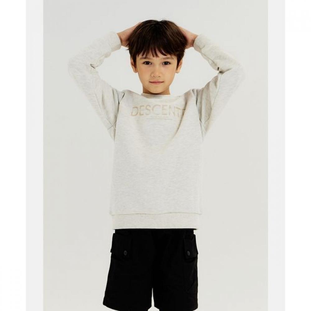 

Спортивная махровая толстовка Descente Young Aslet Oatmeal OAT0OATMEAL/130