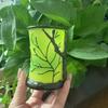 Forests Nature-Inspired Nature Ambient Lamp Resin Tree Desk Lamp  for Bedroom & Living Room Decor