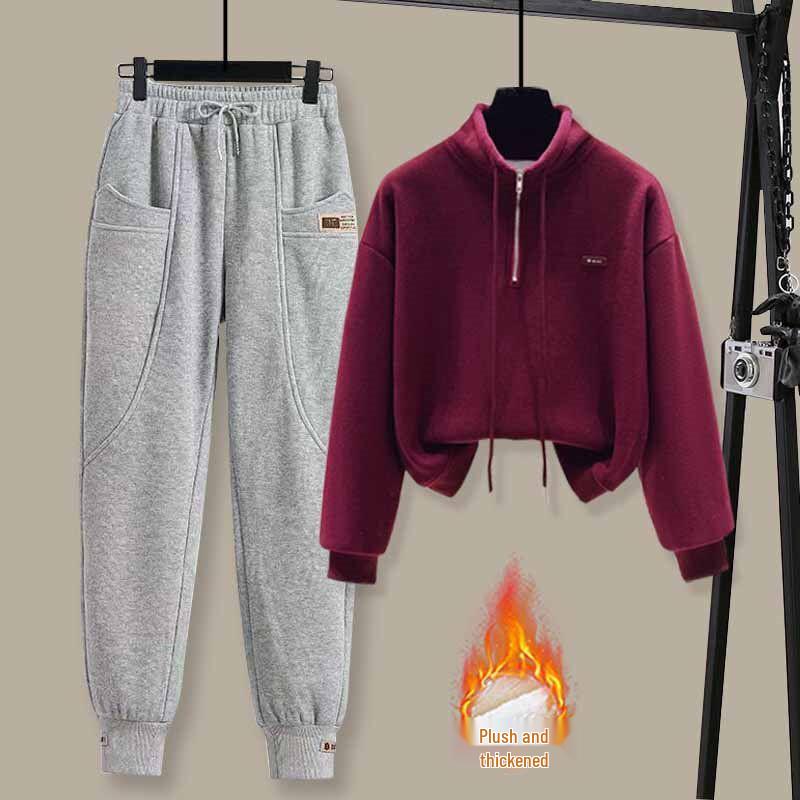 Trendy Women's Fleece Half-Zip Stand Collar Sweatshirt & Loose Harem Pants Set