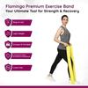 Flamingo Premium Fitness-Übungsband, latexfreie Fitness-Widerstandsbänder für Yoga | Stärke 4,5 kg | 1,5 m Länge, 4 Zoll Breite, Gelb