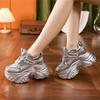 Platform Dad Shoes Women's Spring 2025 New Silver High-end Sports Trendy Shoes Versatile Breathable Inner Height-increasing Women's Shoes