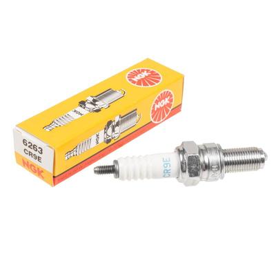Spark Plug Ngk Cr9E