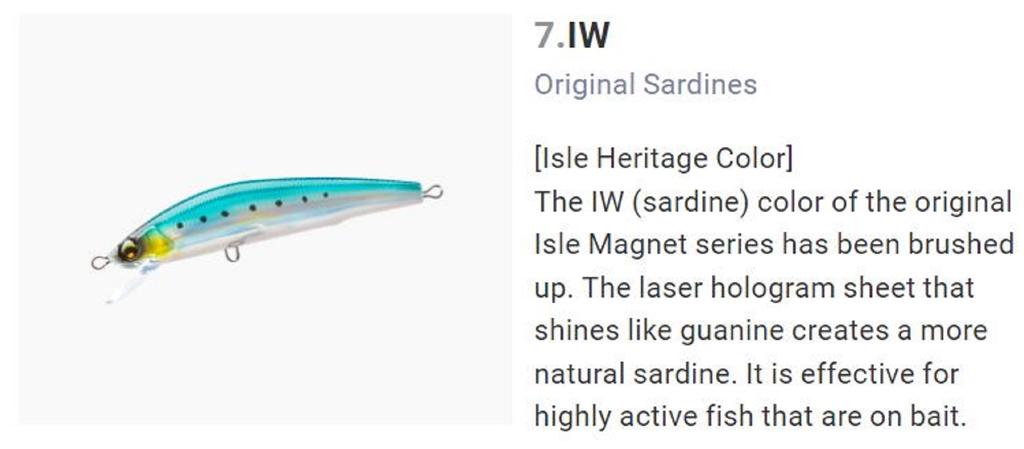 Yo Zuri Duel Aile Magnet TG Minnow 105F Floating Lure F1252-IW (5291)