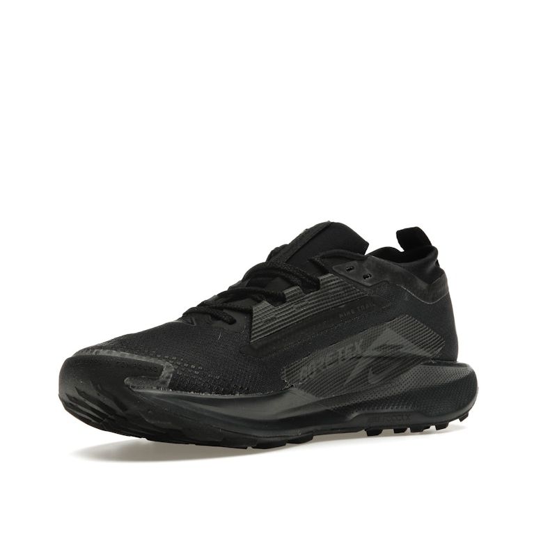 Nike Pegasus Trail 5 GORE-TEX Pánské Černá Antracitová Nepromokavé ReactX Trailové Běžecké Tenisky FQ0908-002